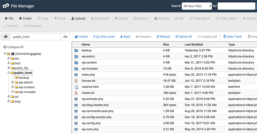 Wordpress website migration remote files